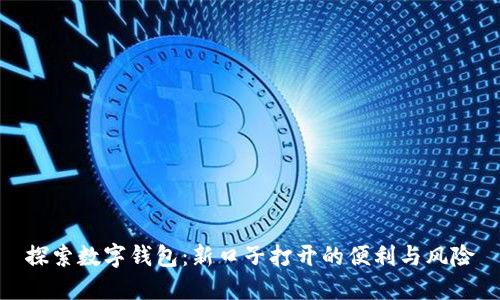 探索数字钱包：新口子打开的便利与风险