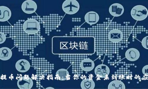TP钱包提币问题解决指南:当你的资金未到账时的应对策略