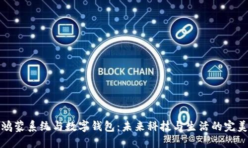 华为鸿蒙系统与数字钱包：未来科技与生活的完美结合
