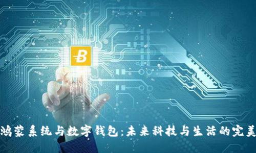 华为鸿蒙系统与数字钱包：未来科技与生活的完美结合
