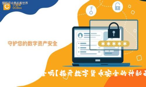 CFP数字钱包安全吗？揭开数字货币安全的神秘面纱