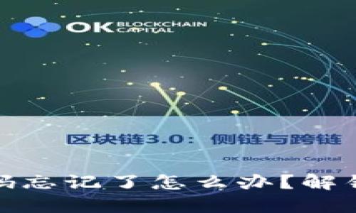 TP钱包助记词和密码忘记了怎么办?解锁你的数字资产之路