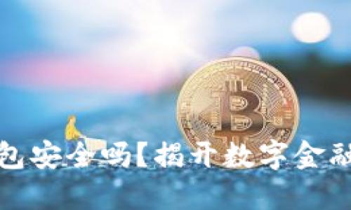 农业银行数字钱包安全吗？揭开数字金融背后的神秘面纱