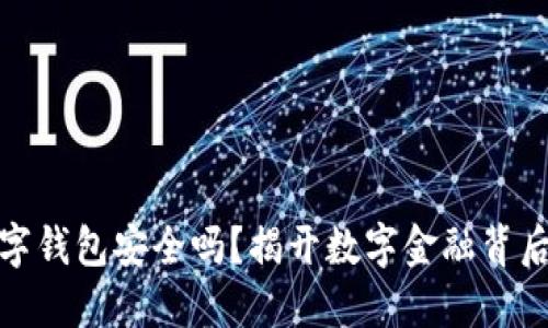 农业银行数字钱包安全吗？揭开数字金融背后的神秘面纱