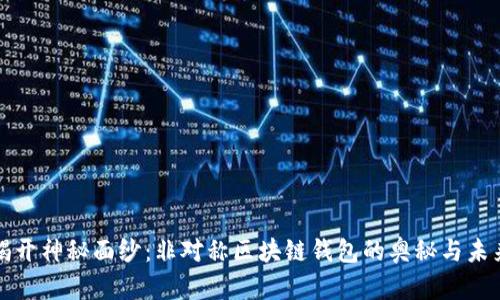 揭开神秘面纱：非对称区块链钱包的奥秘与未来