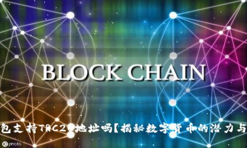 TP钱包支持TRC20地址吗?揭秘数字货币的潜力与风险