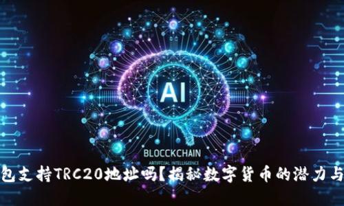 TP钱包支持TRC20地址吗?揭秘数字货币的潜力与风险