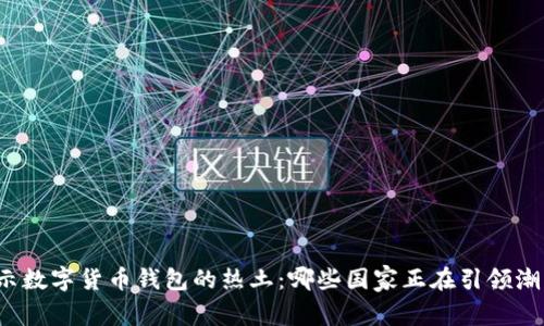 揭示数字货币钱包的热土：哪些国家正在引领潮流？