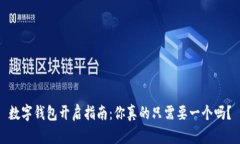 数字钱包开启指南：你真的只需要一个吗？