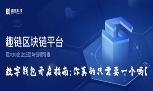 数字钱包开启指南：你真的只需要一个吗？