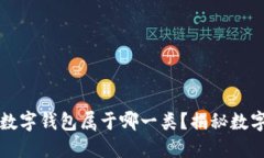 如何轻松辨别你的数字钱包属于哪一类？揭秘数