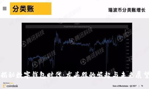 揭秘数字钱包时代：龙头股的崛起与未来展望