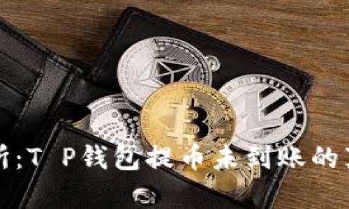 解密币安交易所：T P钱包提币未到账的真相与解决方案