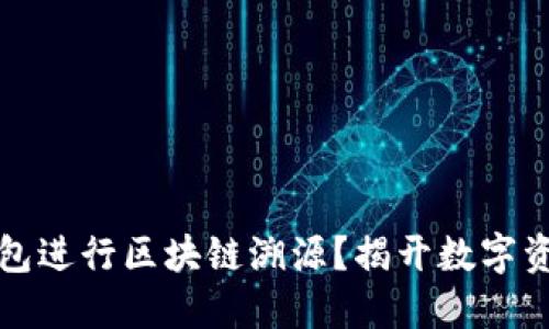 如何利用TP钱包进行区块链溯源？揭开数字资产的神秘面纱
