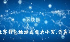 揭秘：TP数字钱包地址区分大小写，你真的了解吗