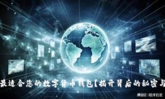 如何选择最适合您的数字货币钱包？揭开背后的