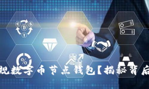 如何选择合适的正规数字币节点钱包？揭秘背后的技巧与实用建议