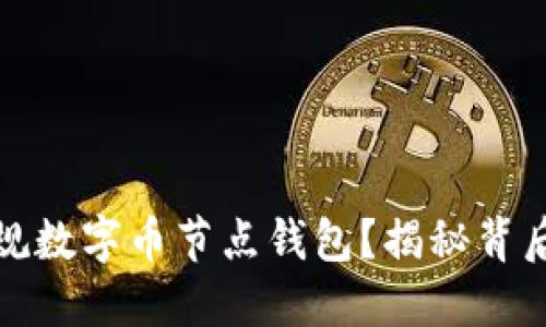如何选择合适的正规数字币节点钱包？揭秘背后的技巧与实用建议