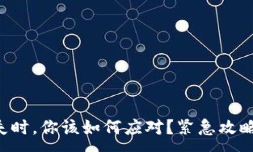 :
当TP钱包消失时，你该如何应对？紧急攻略与心态调整！