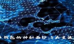 揭开国内加密货币钱包的神秘面纱：5大主流选择