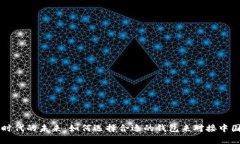 探索数字时代的未来：如何选择合适的钱包来对