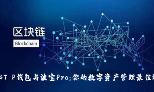 揭秘T P钱包与波宝Pro:你的数字资产管理最佳选择
