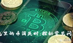 当你的TP钱包里的币消失时：探秘常见问题与解决