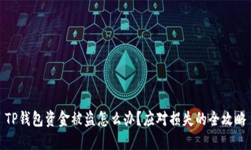 TP钱包资金被盗怎么办？应对损失的全攻略
