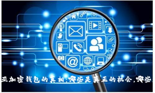揭秘尼日利亚加密钱包的真相：哪些是真正的机会，哪些是投资陷阱？