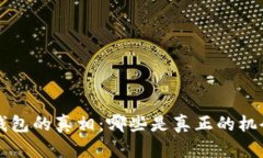 揭秘尼日利亚加密钱包的真相：哪些是真正的机
