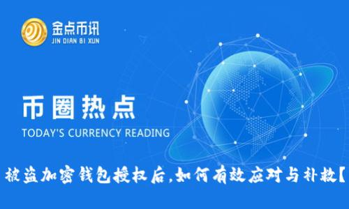 被盗加密钱包授权后,如何有效应对与补救?