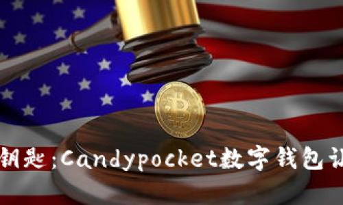 解锁未来支付的钥匙：Candypocket数字钱包让你的生活更轻松