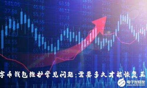 数字币钱包维护常见问题：需要多久才能恢复正常？