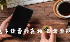 揭秘TP钱包手续费的真相：你需要知道的几点！