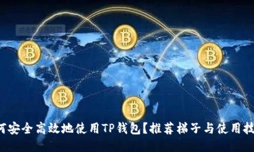 如何安全高效地使用TP钱包？推荐梯子与使用技巧！