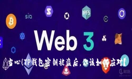 当心！TP钱包密钥被盗后，你该如何应对？