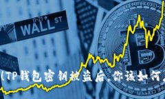当心！TP钱包密钥被盗后，你该如何应对？