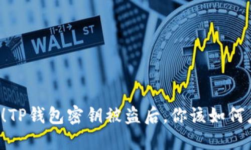 当心！TP钱包密钥被盗后，你该如何应对？