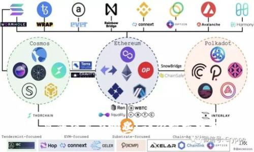 揭秘：TP钱包里的项目有哪些？让你把握数字资产的未来