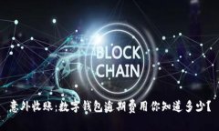 意外收账：数字钱包逾期费用你知道多少？