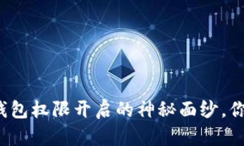 揭开区块链钱包权限开启的神秘面纱，你准备好了吗？