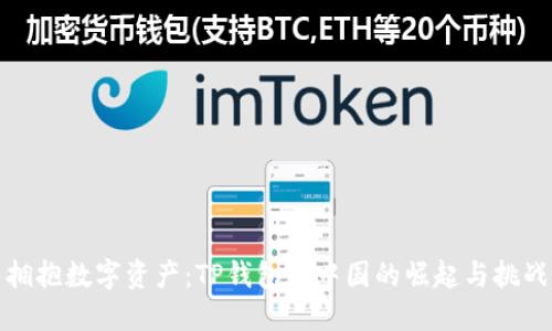 拥抱数字资产：TP钱包在中国的崛起与挑战
