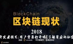 TP钱包开发者模式：用户需要打开吗？了解背后的