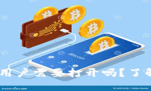 TP钱包开发者模式：用户需要打开吗？了解背后的秘密与风险