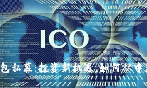 解密TP钱包私募：投资新机遇，如何从中获取收益？