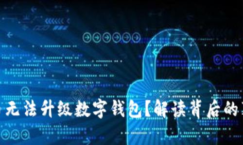 数字人民币无法升级数字钱包？解读背后的真相与影响
