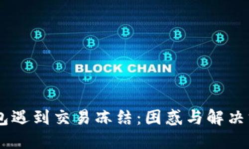 当TP钱包遇到交易冻结：困惑与解决方案一览