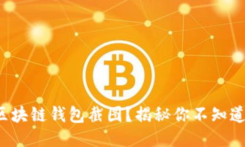 如何轻松制作区块链钱包截图?揭秘你不知道的技巧与方法!