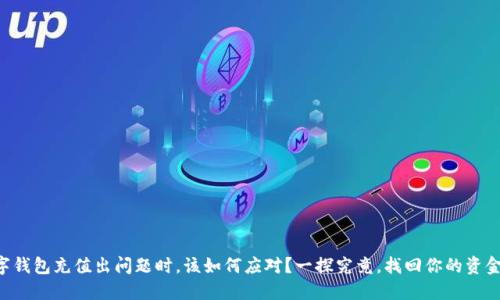 当数字钱包充值出问题时,该如何应对?一探究竟,找回你的资金之路!