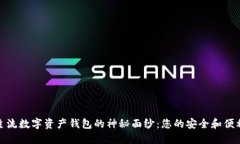 揭开主流数字资产钱包的神秘面纱：您的安全和